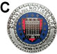 Professional Badge
